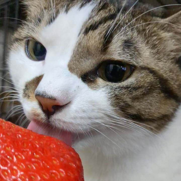 C6d45ca1 b47c 4f30 9055 88de1dc9c0d9 1734435070704