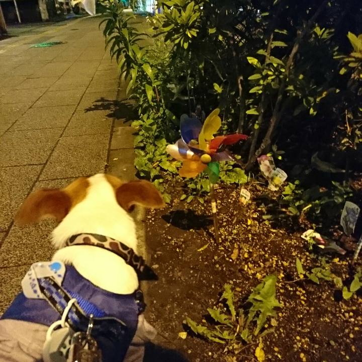 C6d4852b ae3b 4067 9966 656c268f2a27 1528724424595