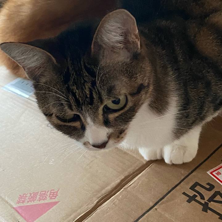 C6d4d835 487a 4305 a4e4 9e3501825000 1610954311707