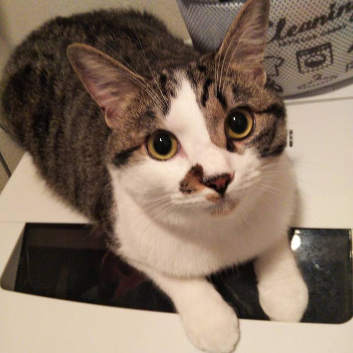 C6d4dd41 d760 47ea a267 4e6189346af1 1624056481918