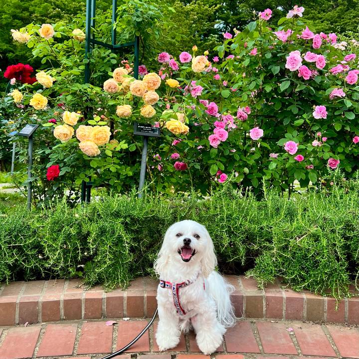 C6d503eb cab6 4f63 9390 572e22a68f14 1653464313880