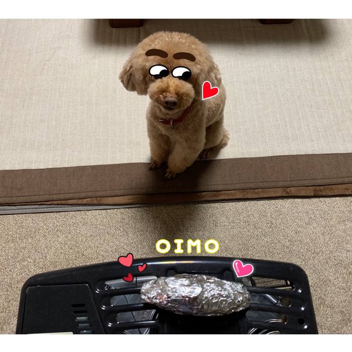 C6d50e64 1cd5 45fd af26 53616f1329cd 1543391054488