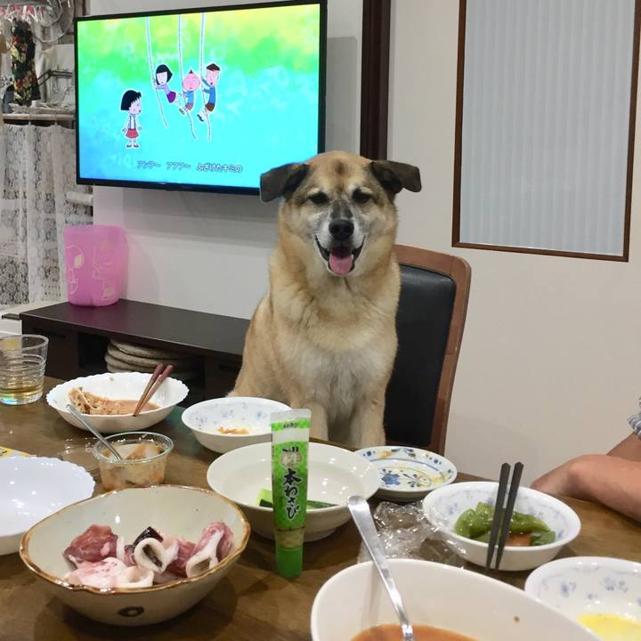 C6d50f09 2154 4474 899e 1f865bba82e7 1565521563460