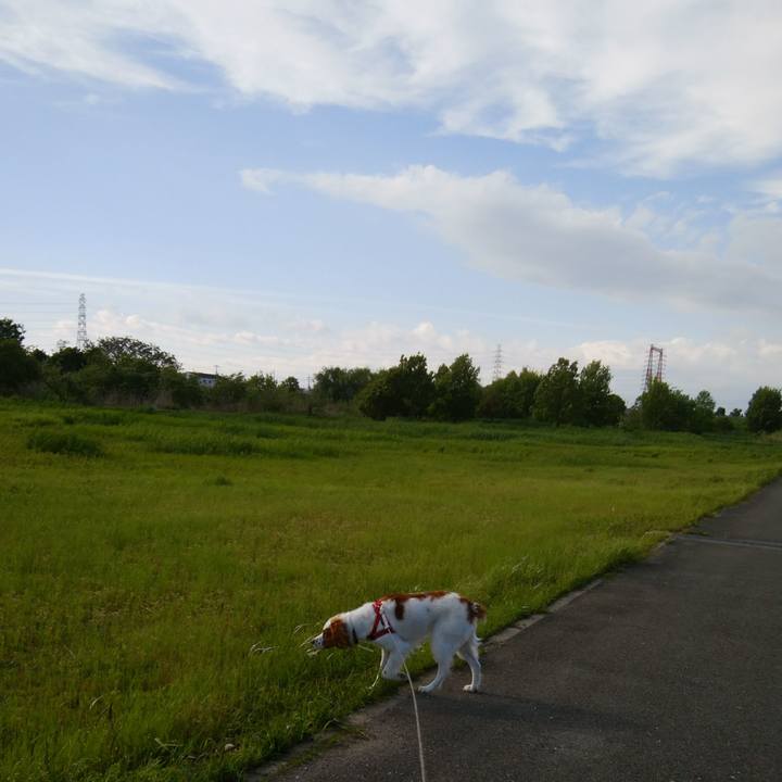 C6d54f29 d629 44ec ac12 cce8ac9e4087 1525337957839