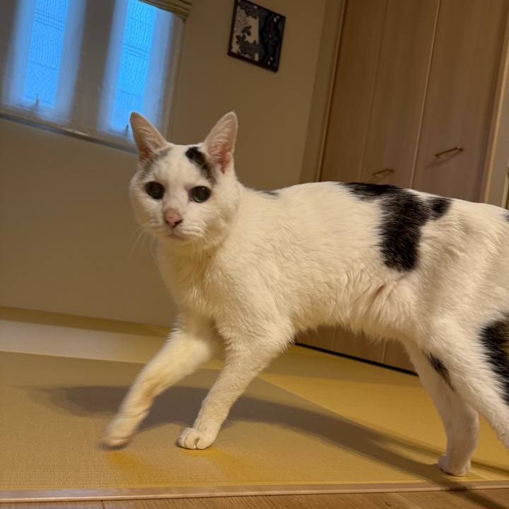 C6d55d9b 1577 491e b76f 72821b1759d0 1770772456558