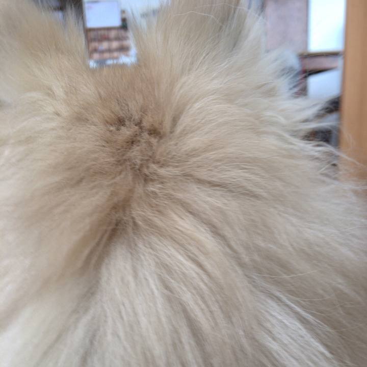 C6d5710b f1ae 4911 89a9 6d7912d4c896 1519359107250