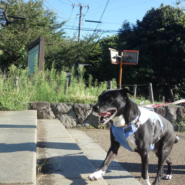 C6d5b8fe f610 4a12 88d3 c71c20f22e94 1692920575157