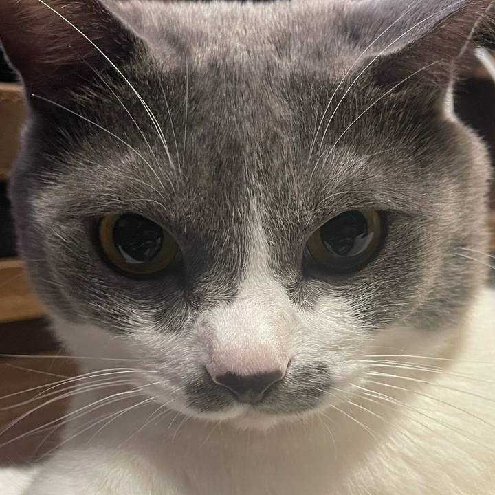 C6d5cfbe 850f 4664 8f7c 51768012cb2c 1668254990708