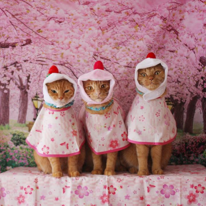 C6d5f07c c29e 47a3 bbf5 fc1b2c07ed7e 1741680373300