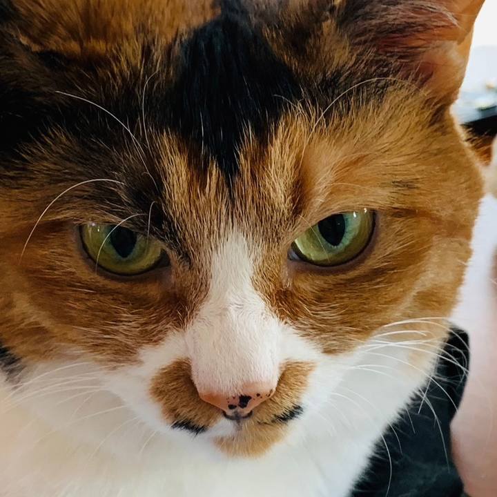 C6d62bff a97b 40cf 95f7 8674e16106b0 1700784878252