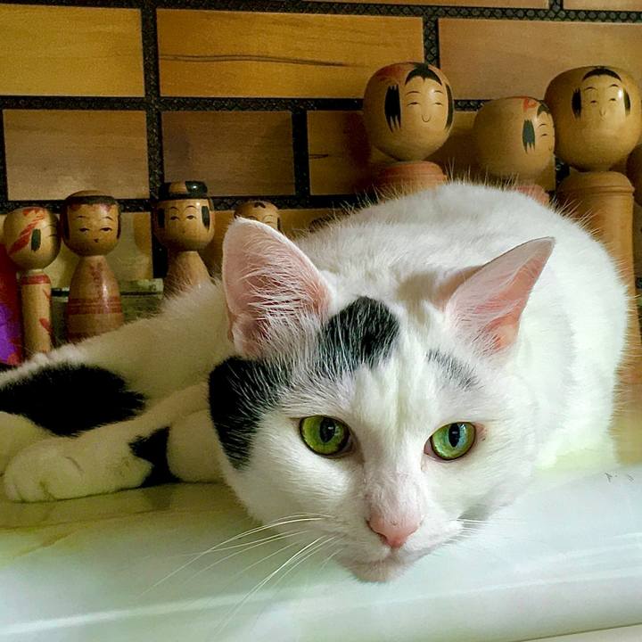 C6d673ad 3196 4ca7 85b8 9fea56caa5e9 1597268477718