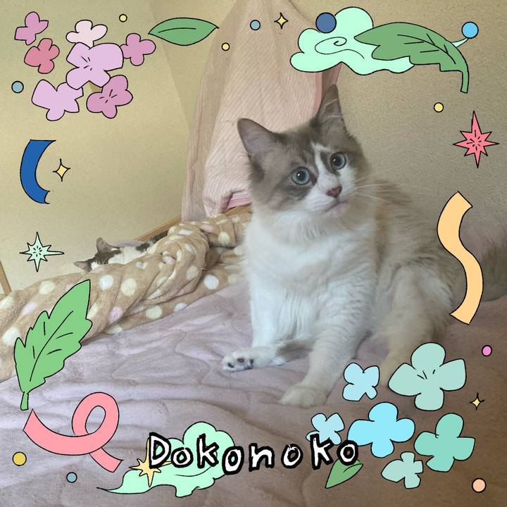 C6d6784e bd8c 4edf bbef d8408651a0e6 1718411739144