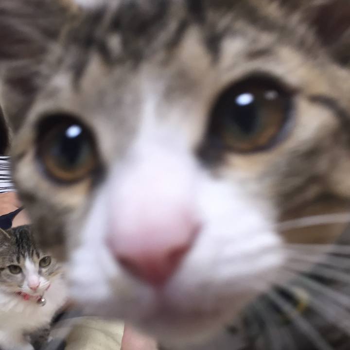 C6d687c2 b6db 4d53 b150 544ea383efd1 1656288493728