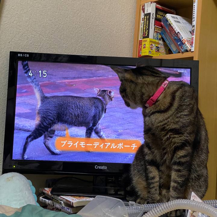 C6d6918c 9881 41bf 9335 8b59a65880a4 1609178860610