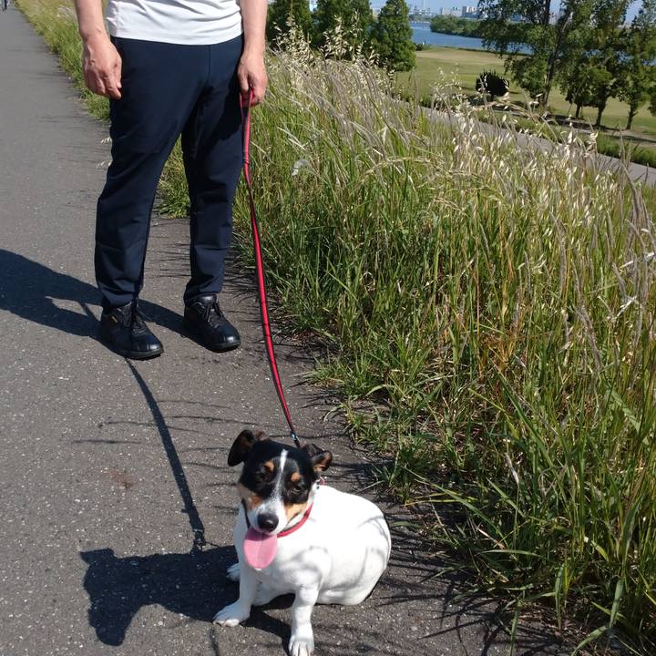 C6d6fb2b 8db0 45ca 8781 50bf11ef6829 1589697836420