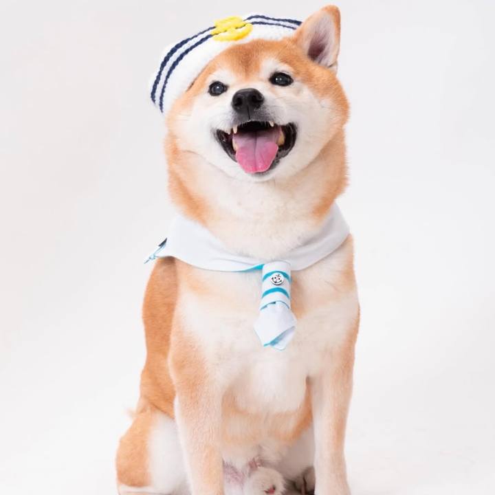 C6d71309 a722 4211 86a6 246df0b2a1d6 1744276155702