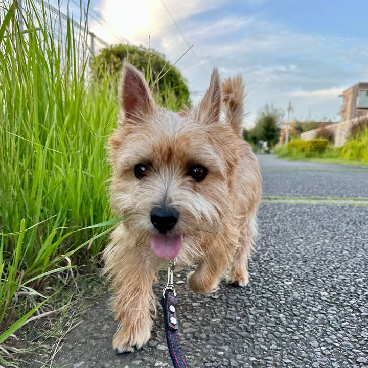 C6d71383 d96c 4180 9ef9 6e7a389093c1 1727184627677