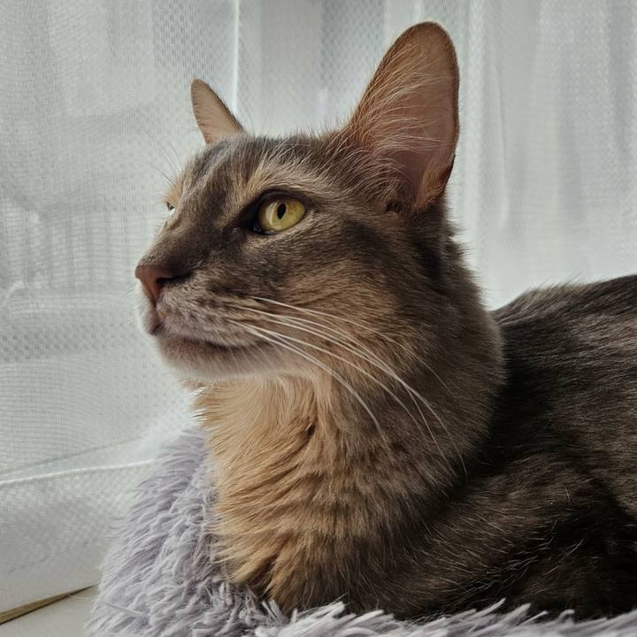 C6d753f0 9aa1 405b 8ff4 dc1adfdae882 1719039380569