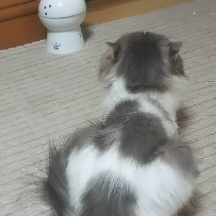 C6d77a1b e59f 4b85 85f6 72c970c0e6eb 1625060382415