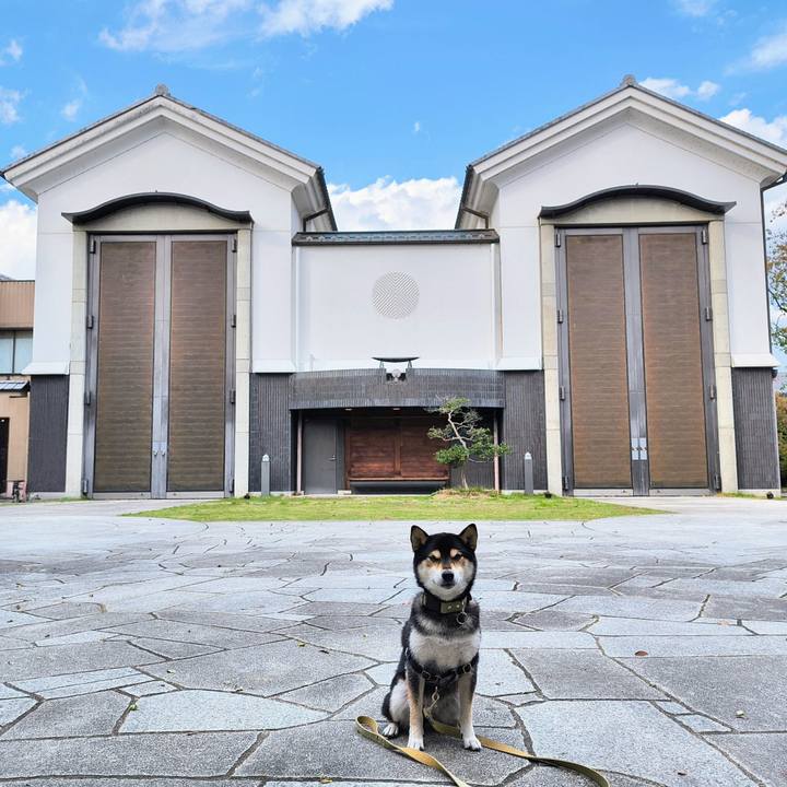 C6d7851e b5af 4eed ae71 ee3d8fc9fbd8 1762104790907