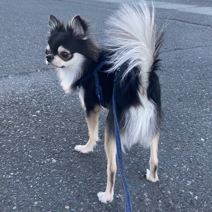 C6d7a930 d8f1 4929 993f 3513c7f41359 1636777362631