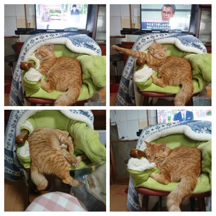 C6d7cd0d 1bc4 48fe 9aa0 3f21dcb71cfb 1652321712421