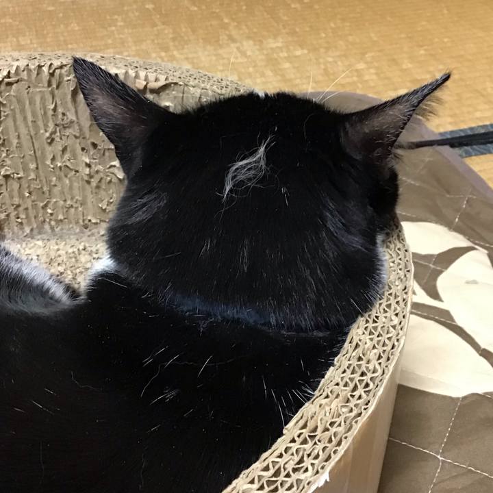 C6d7ea04 4557 4e0d 9777 da73734d2548 1742201871910