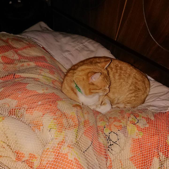 C6d7ee5e 1999 446f 8d2c c54013effb11 1586185940280