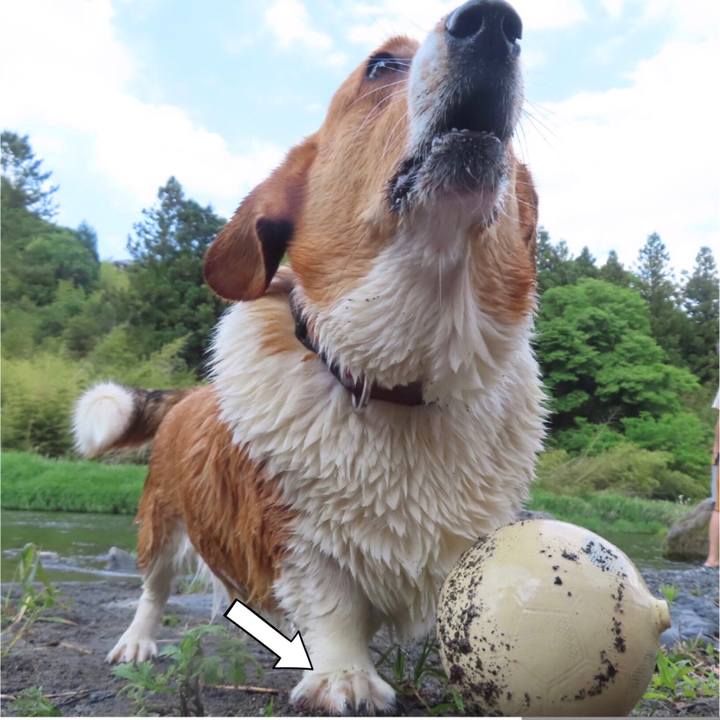 C6d810d7 260a 44bd b7a3 cd87e2379036 1653789838833