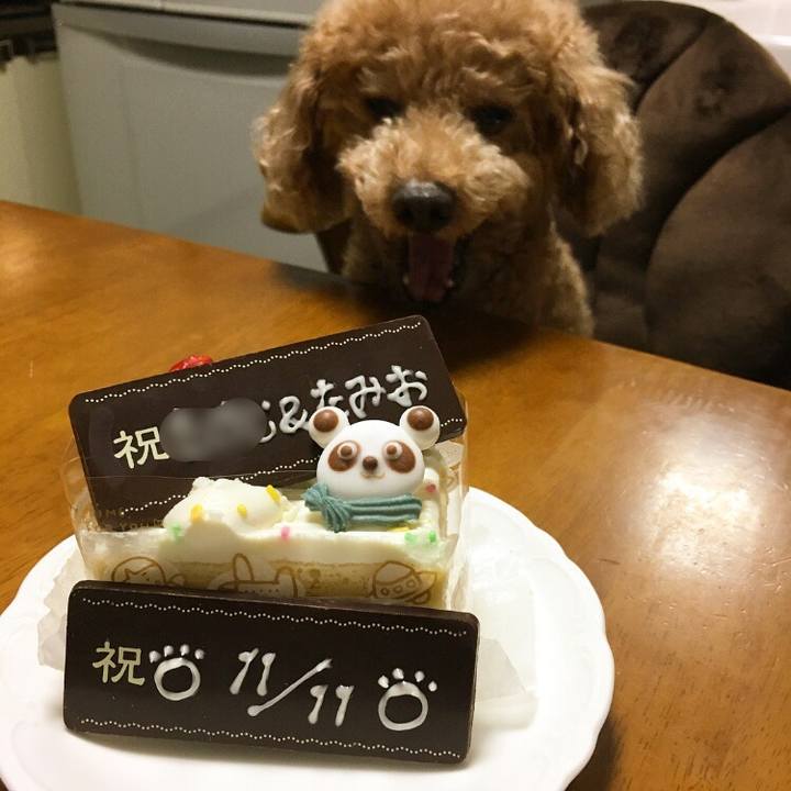 C6d8ab17 1b12 4830 9ebe f72b036f7348 1510403426437