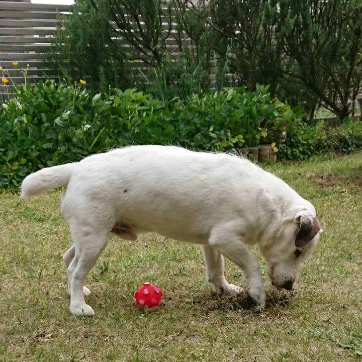 C6d8ab94 7597 4701 bbe9 9963ad06986f 1589411118040