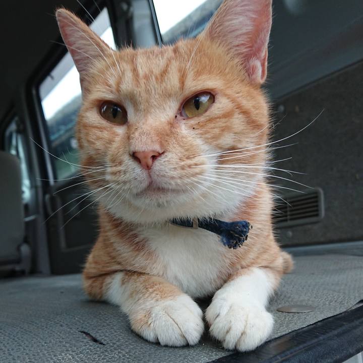 C6d8ce50 6a04 40c9 b59f fe5adebdc8c9 1566681636077