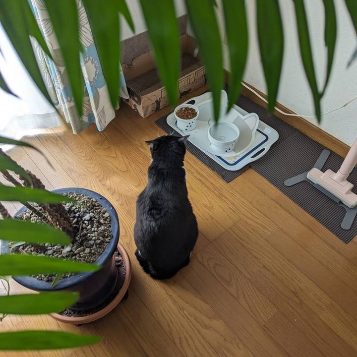 C6d8dae7 2e08 46f8 a199 03f83de6f65e 1712114992887