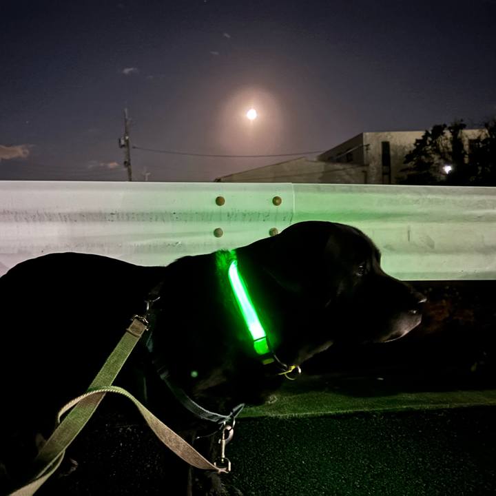 C6d8f80a 18aa 4ffe a3f1 09987c91df2e 1764930686095