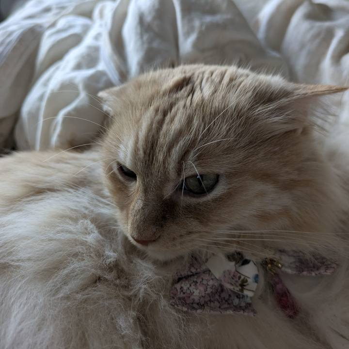 C6d95108 2204 413b b0c9 2e16d6452470 1750065579521