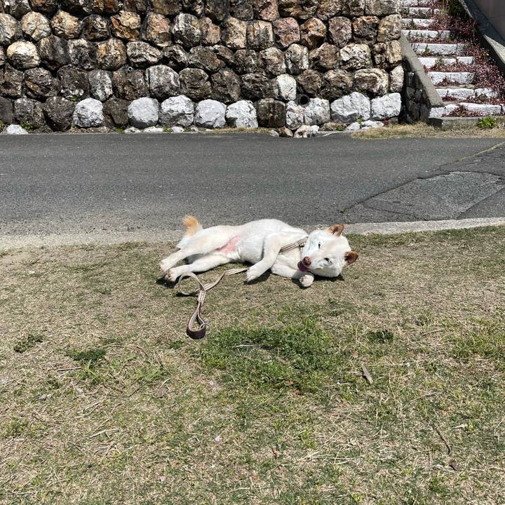 C6d95ee8 1e0e 40cd 83ab 44f55f5429e5 1649569736226