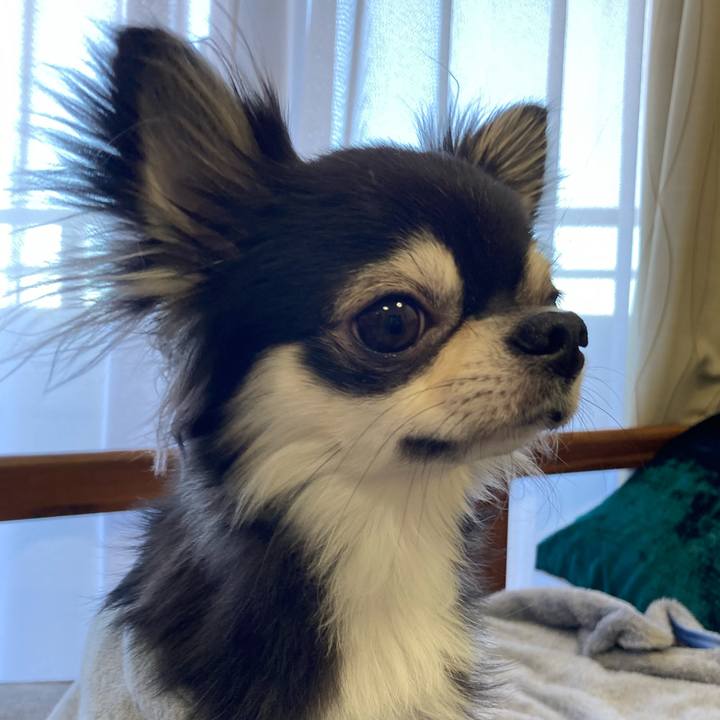 C6d98822 d133 4e67 ba1a 4980013c397c 1640503521035