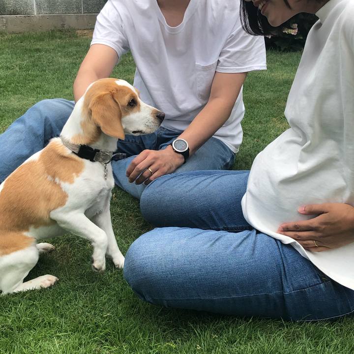 C6d999a0 c14d 4cdb bbcd d09f144263a7 1593002968614