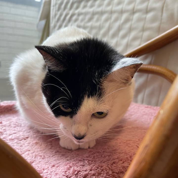 C6d9a01d fa9f 46a0 a7f4 a51f84e0ba0b 1770158111075