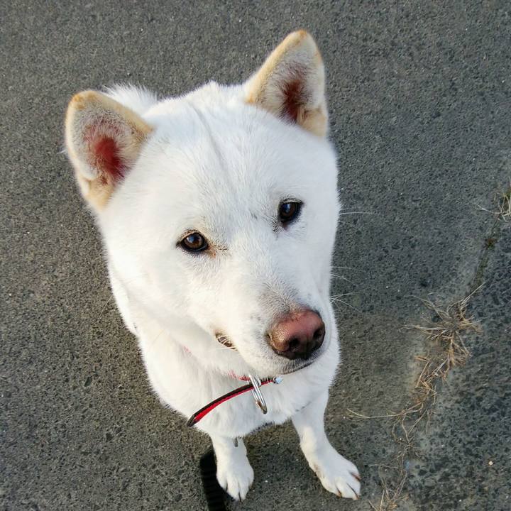 C6d9e742 0a38 4042 9b76 efd59a434bf8 1521436223615