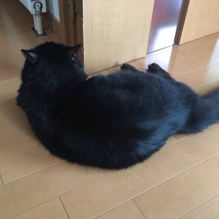 C6d9e906 6abf 459b b05c 751ea7dc1e4c 1536298681032