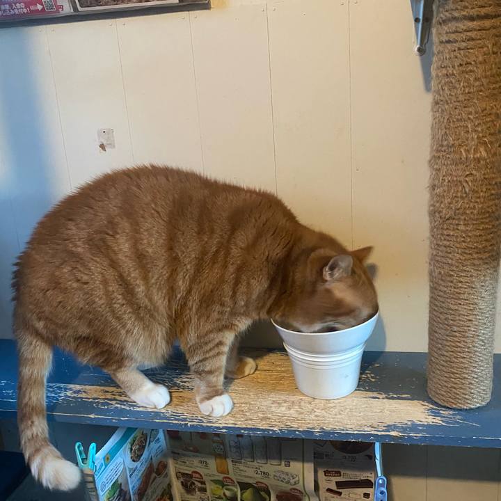 C6da2385 7fcc 476e 84bf ae544cb4373f 1732407252704