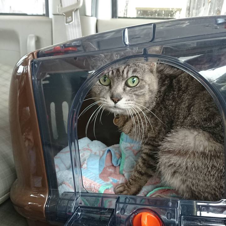 C6da2733 9220 482d 8960 3f3a6fa6c19f 1592011927615