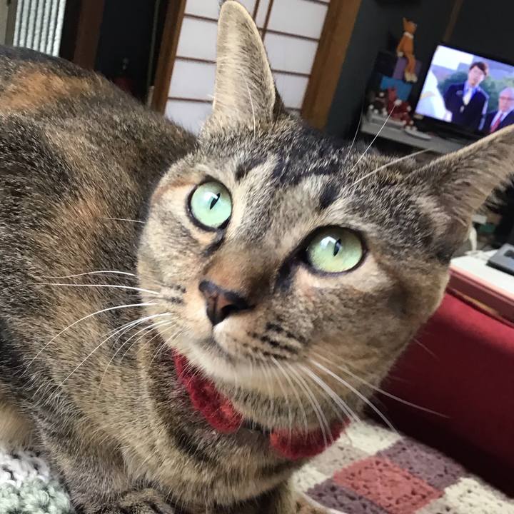 C6da2dc4 2498 49af ae57 287b0801211e 1600846457086