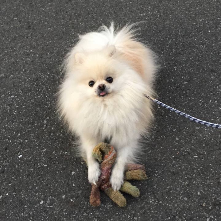 C6da8e04 242b 4454 ab36 d404041c140a 1515068315618