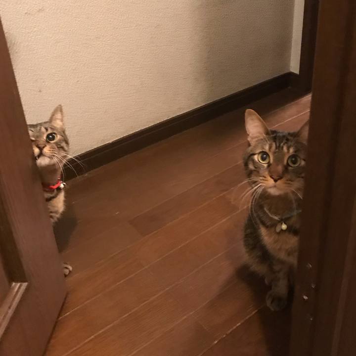 C6daafa8 aa4f 4717 91c2 5e0c1ad2308e 1575558292773