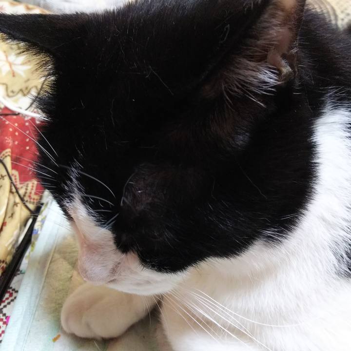 C6daf5a0 ccff 493d b4c2 750560fb3770 1558826810442