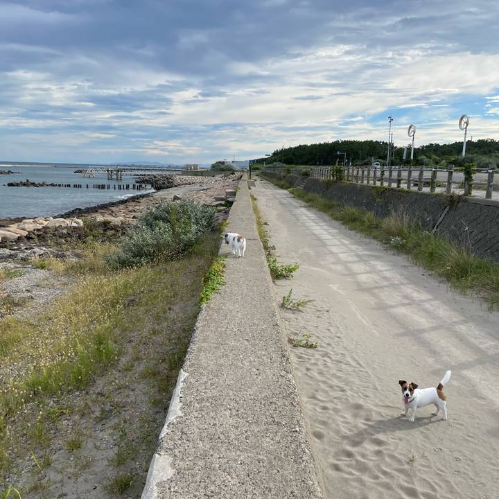 C6db267a d0d1 49fc ae46 c4d12871c95a 1663546450145