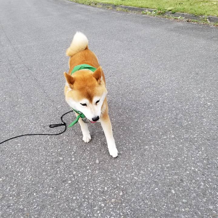 C6db5d15 f532 426d 96ac 1e9aafb2cb5f 1558337445549