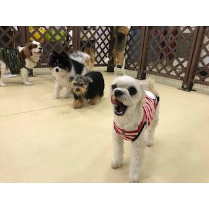 C6db5ee6 5481 4075 8ab9 ff2d50aeee0c 1520595072582